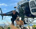 Polícia Penal do ES realiza treinamento com cães em aeronaves
