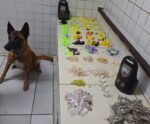 Muita droga! Cão da PM apreende materiais usados no tráfico no ES