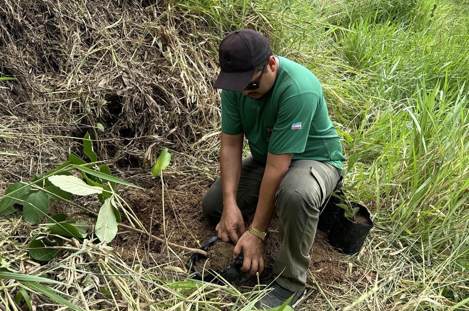 Mais de 50 mudas foram plantadas no local. Foto: Lázaro Antunes Mais de 50 mudas foram plantadas no local. Foto: Lázaro Antunes