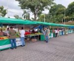 Novas barracas estruturam o comércio nas feiras de 14 municípios do ES