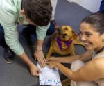 Cidade do Espírito Santo amplia programa de castração de cães e gatos