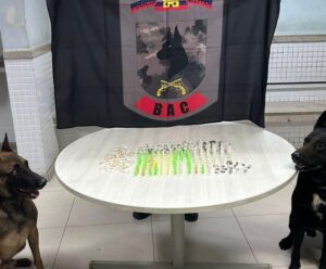 Cães farejadores encontram drogas escondidas em bananeiras no ES Drogas escondidas em bananeiras