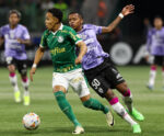 Palmeiras marca no fim e garante vitória sobre o Botafogo-SP na Copa do Brasil