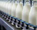 Atentos ao mercado, pecuaristas do ES investem na produção de leite A2