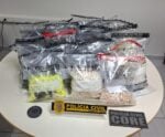 Polícia Civil apreende mais de 10 mil pinos de cocaína no ES