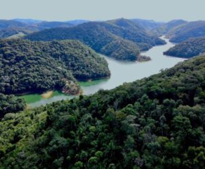 Mata Atlântica: desmatamento ilegal reduz quase 33% no Espírito Santo