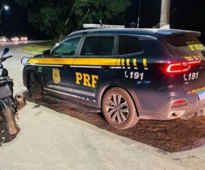 Apreensões da PRF: confira as 5 no ES que vão te surpreender Apreensões da PRF