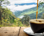 Rotas Turísticas do Café: descubra os melhores destinos para os amantes do grão