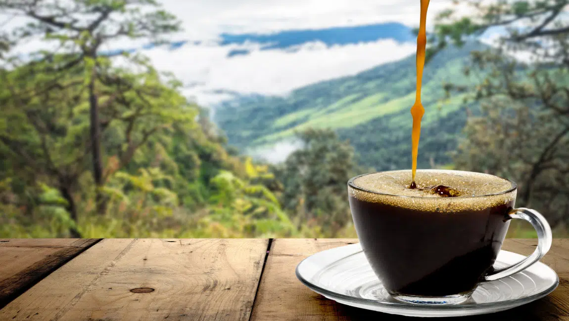 Café Turismo