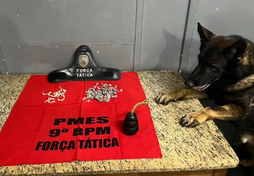 Tráfico de drogas