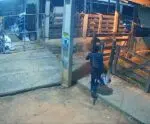 Criminoso invade sítio e furta objetos em Itapemirim