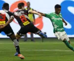 Palmeiras derrota o Vasco pelo Brasileirão e dá sinais de melhora técnica