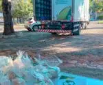 Cachoeiro: recolhimento de óleo usado e de lâmpadas seguirá até sexta (14)
