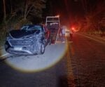Animais na pista causam acidente na BR 482