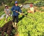 Agricultura Familiar do ES receberá investimento de R$ 5 milhões