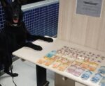 Operações da Patrulha K-9 resulta em apreensões no ES