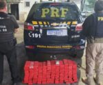 PC e PRF apreendem 100 kg de maconha na BR-101 em Mimoso
