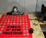 PM apreende buchas de maconha com ajuda do Cão Messi em Cachoeiro