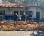 Polícia Militar Ambiental recolhe 64 pássaros silvestres no ES