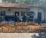 Polícia Militar Ambiental recolhe 64 pássaros silvestres no ES