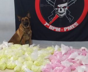 Polícia Militar apreende mais de 7 mil pinos de cocaína no ES pinos de cocaina
