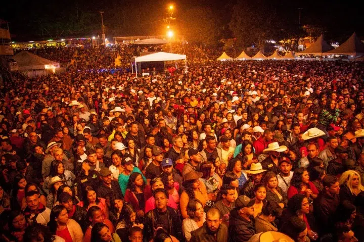 Festa do Carro de boi de Iúna