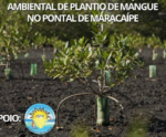 Meio Ambiente: Associação dos Jangadeiros de Maracaípe completa 26 anos