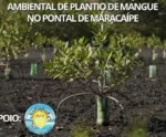 Meio Ambiente: Associação dos Jangadeiros de Maracaípe completa 26 anos