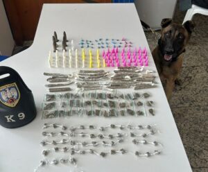 Polícia Militar encontra drogas com ajuda do cão Zorg no ES Cão Zorg