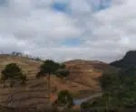 Infrator indicando por desmatamento ilegal é multado em R$ 470 mil no ES