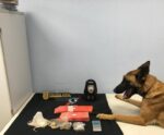 PC e PM apreendem grande quantidade de drogas em Guaçuí