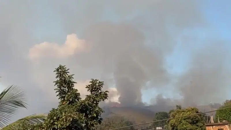 Foto: Reprodução/Vídeo/Leitor/Aqui Notícias Foto: Reprodução/Vídeo/Leitor/Aqui Notícias