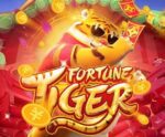 Jogo do Tigrinho: difícil fiscalização e pouca chance de reaver dinheiro