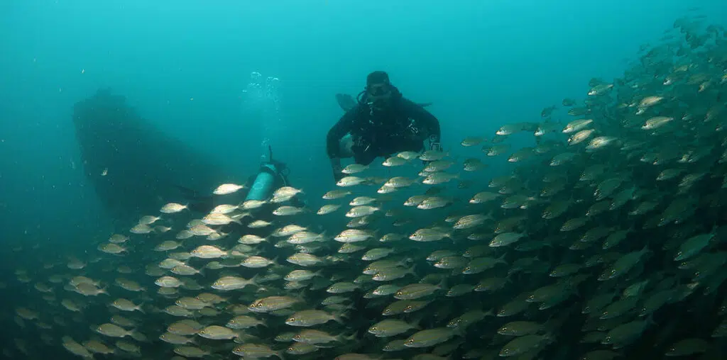 Mergulho Espírito Santo, Guarapari