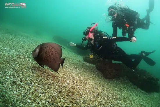 Mergulho Espírito Santo, Guarapari