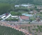 Pinheiros pode se tornar a Capital Estadual da Fruta