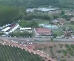 Pinheiros pode se tornar a Capital Estadual da Fruta