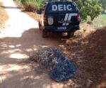 Polícia Civil recupera R$ 26 mil em fios de chumbo em Cachoeiro
