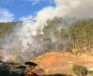 Vídeo | Incêndio às margens de rodovia assusta motoristas no Sul; veja Muniz Freire