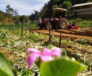 Agricultura Familiar: governo federal lança Novo Plano Safra no ES