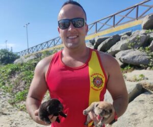 VÍDEO | Salva-vidas resgata filhotes de cachorro em Marataízes resgate em Marataízes
