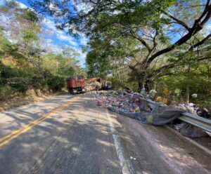 Motorista bate carreta em árvore em rodovia de Castelo rodovia de Castelo