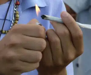 Maconha no Espírito Santo: projeto restringe locais para uso