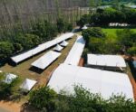 Quase tudo pronto para 2ª edição da Pinheiros AgroShow
