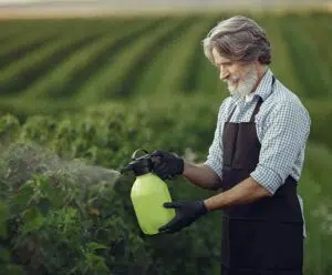 1º Agro Guaçuí acontece na próxima semana