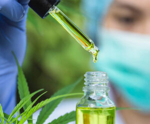 Cannabis: Poder Legislativo do ES debate uso e regulamentação