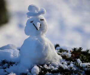 ☃️ Geada e neve no Brasil! Temperaturas caem durante o fim de semana Geada e neve no Brasil