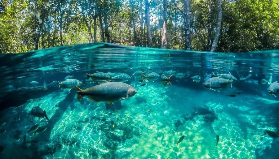 As principais atrações de Nobres são rios, cachoeiras e grutas, ideias para mergulho ou apenas relaxar. Foto: Divulgação As principais atrações de Nobres são rios, cachoeiras e grutas, ideias para mergulho ou apenas relaxar. Foto: Divulgação