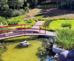 Parque com mirante, viveiro e trilhas é atração para toda família em Anchieta