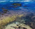Encantador! Veja onde aproveitar lindas piscinas naturais no Sul do ES
